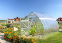 Садовые теплицы: основные особенности