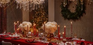 Кухонные принадлежности и элементы сервировки к Новогодним праздникам: помощь в выборе