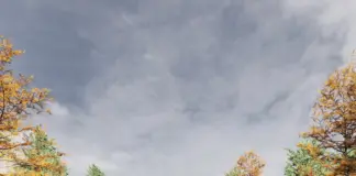 Проектирование одноэтажных домов: ключевые этапы и современные тенденции